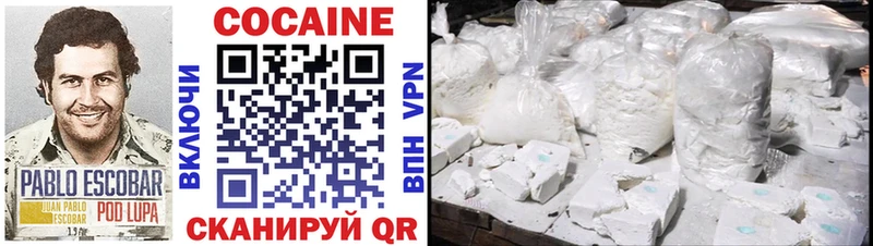 COCAIN Fish Scale  Купить  Буинск 